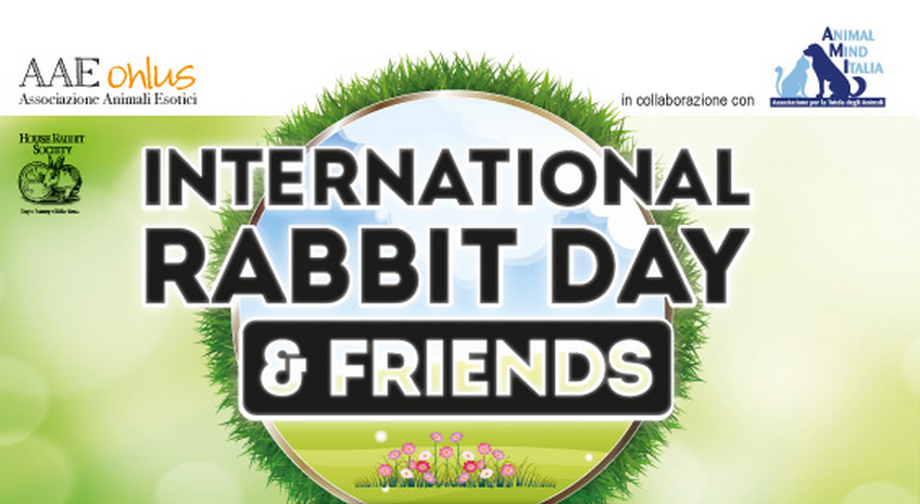 International Rabbit Day Friends 14