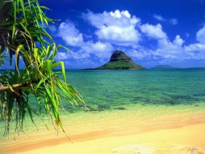 "Donne e viaggi: hawaii"