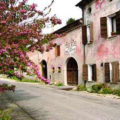 "Strada dei vini del Piave"