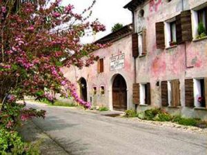 "Strada dei vini del Piave"