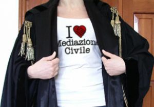 "mediazione civile alcune risposte"