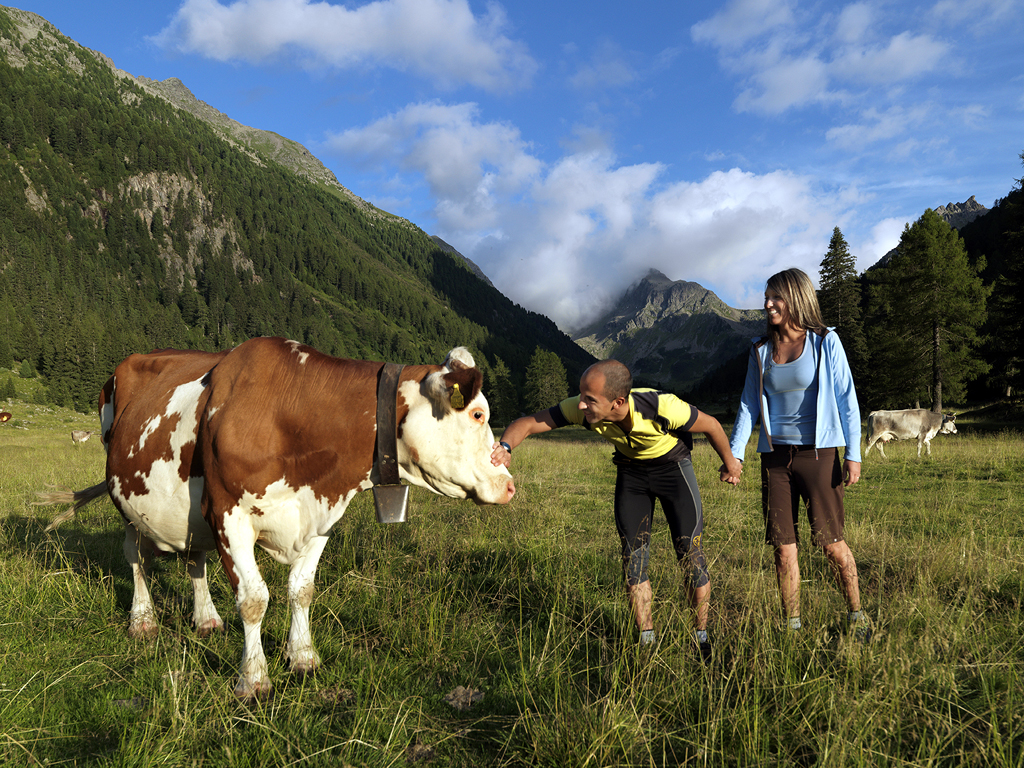 Val di Fiemme  5776