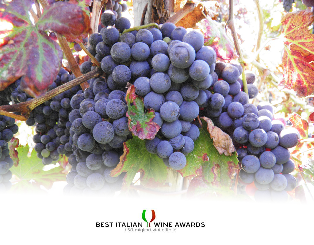 best italian wine awards