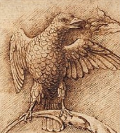 Uccello appollaiato su un ramo, A. Mantegna