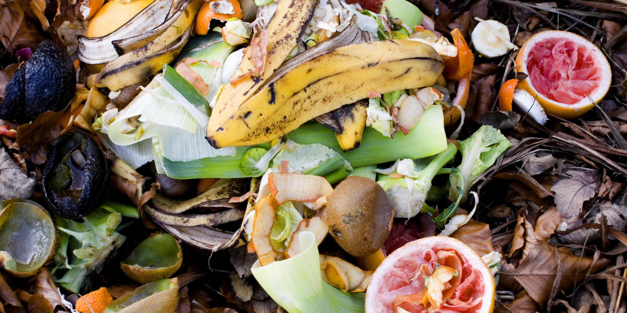 Food waste on compost heap